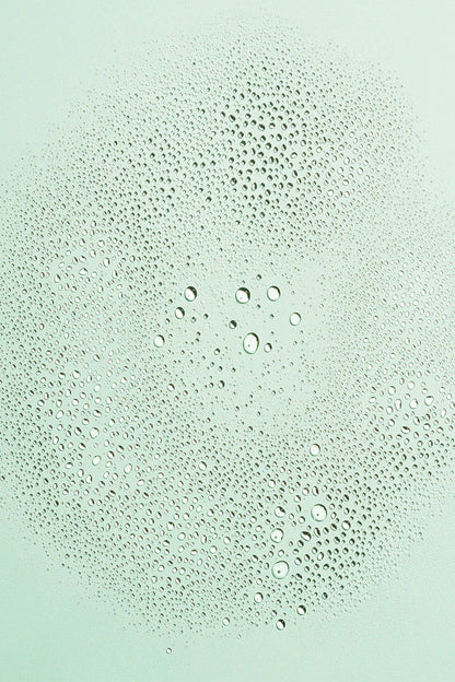 Jasmine Green Tea Anti Oxidant Mist